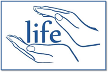20150811-life-week-img-lge